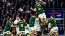 rugby-:-les-springboks-chutent-sur-le-fil-face-aux-anglais